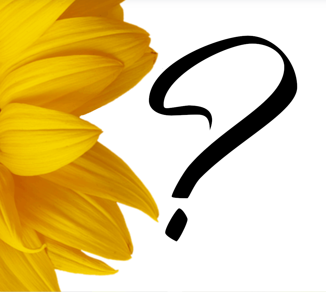 About Sunshine Marie Network