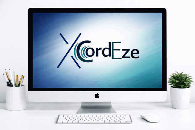 Brand and Digital Presence Example